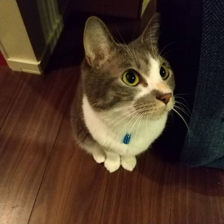 B4abe67e 7424 4590 82fb 32c9247bcc98 1612131330748