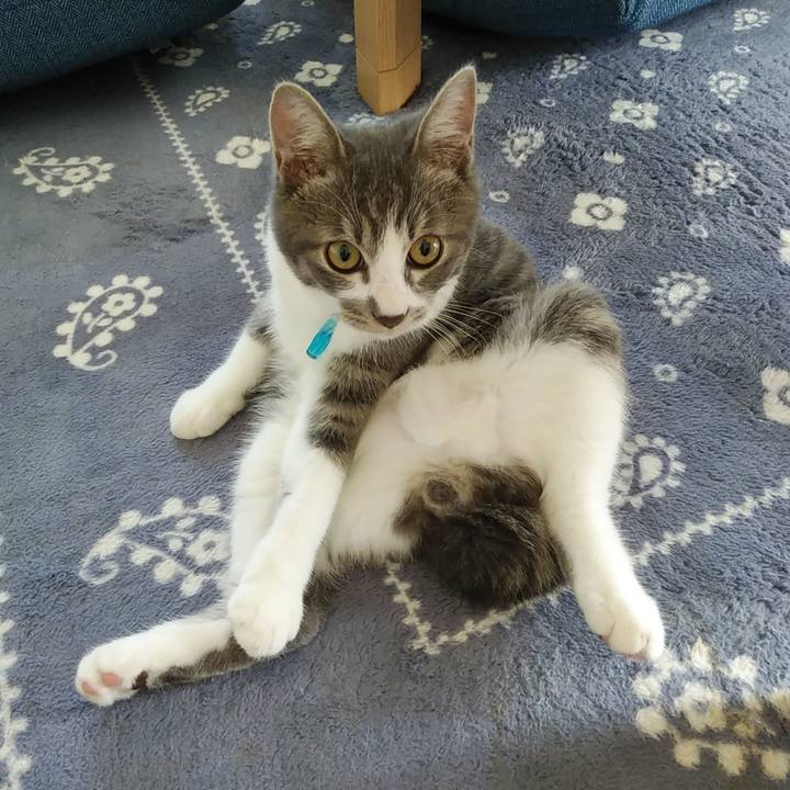 B4ac3fd5 0fb8 4c34 82a7 4d212566beb9 1569471315248