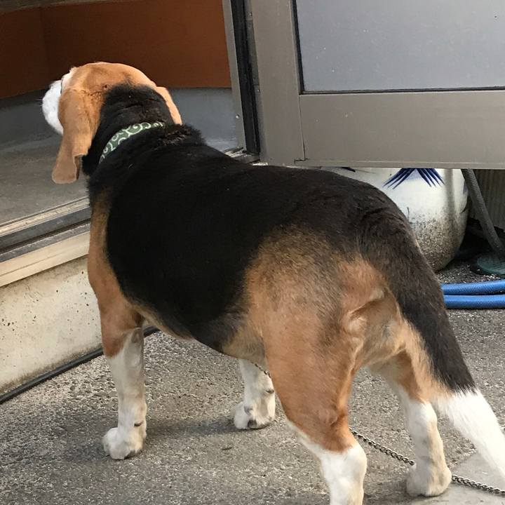 B4ac6194 b6b8 42cc 8d09 c2f200ff9321 1521030001710