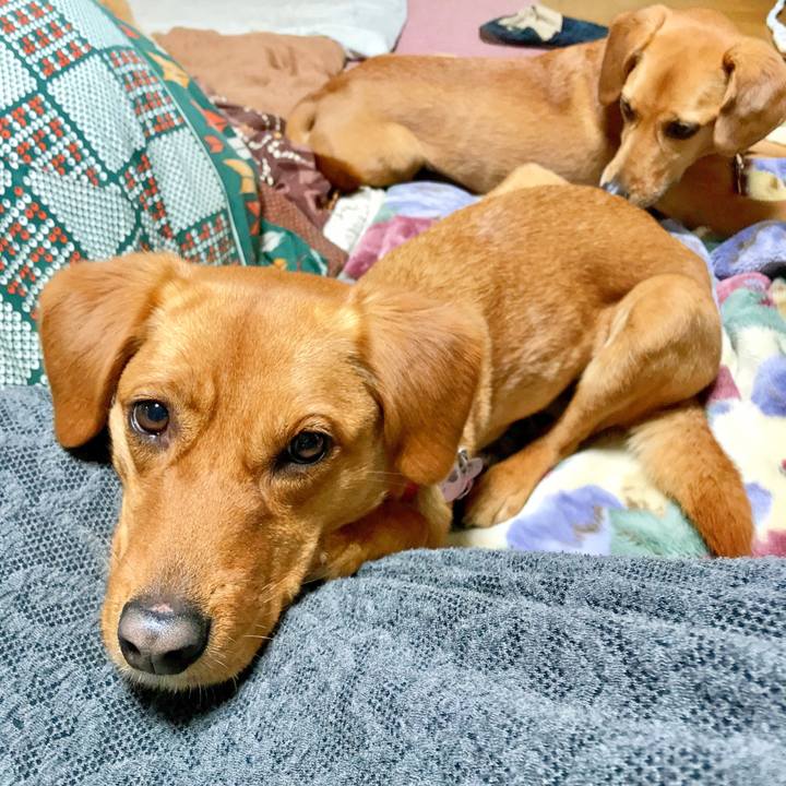 B4ac65de 00cf 428f a8d9 b8fa513c6b5b 1520255021070