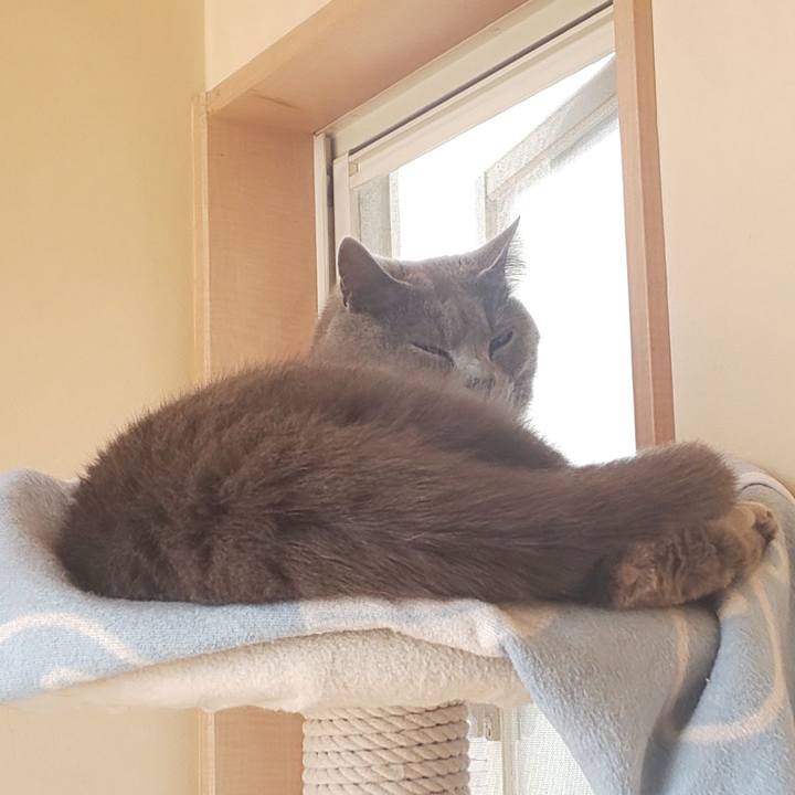 B4aca634 b311 4c92 a30e 39ecdf0c8ab7 1557983971103