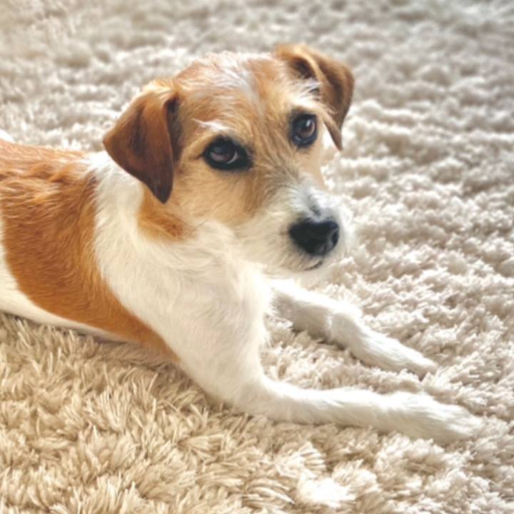 B4acc61b 770d 40bd 99ef ac48049b1b48 1672490971935