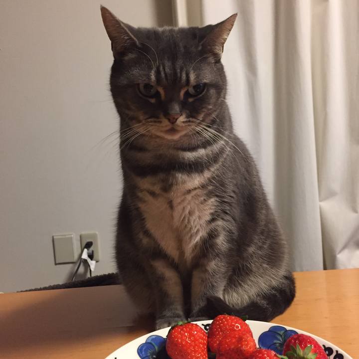 B4acdd03 ebaa 4963 aa59 f6c1a48501c4 1519389620234