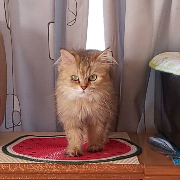 B4acdfb4 addb 46b2 a22d 9371542ae66e 1623977151686