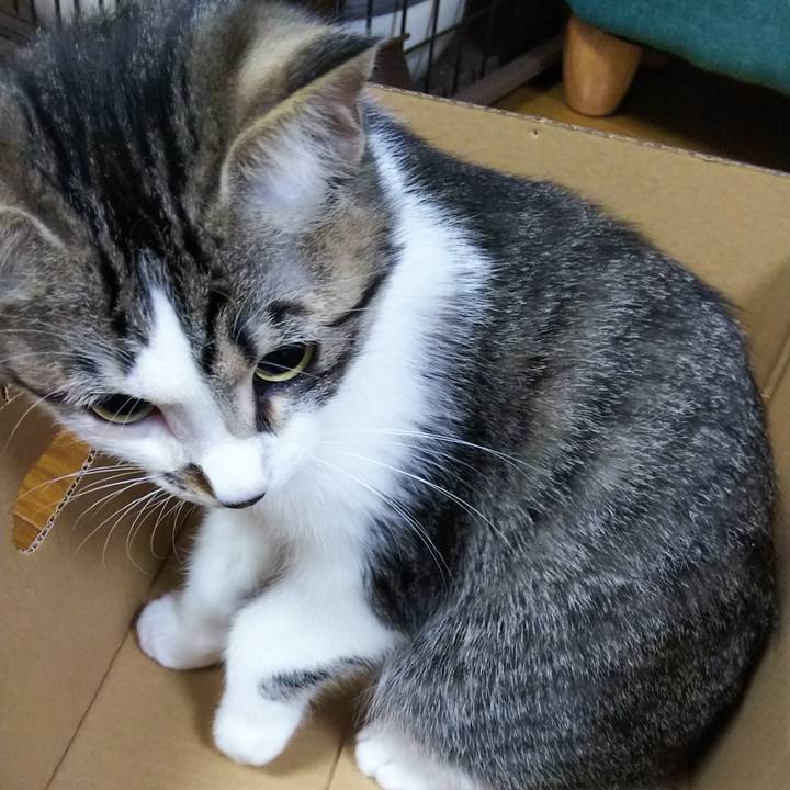 B4acf1d9 5453 4d67 8717 ce426d173561 1611142442909