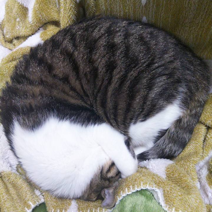 B4acf9a6 2429 498c 9341 22f7d7f72357 1645348387414