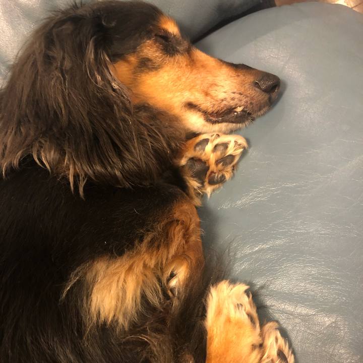 B4ad4565 efbc 4457 98b8 0850a86dcc3e 1587131750833