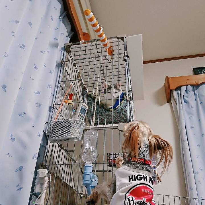 B4ad8338 6dbb 4e40 8ec9 b1e9d17c6ee1 1523371779380