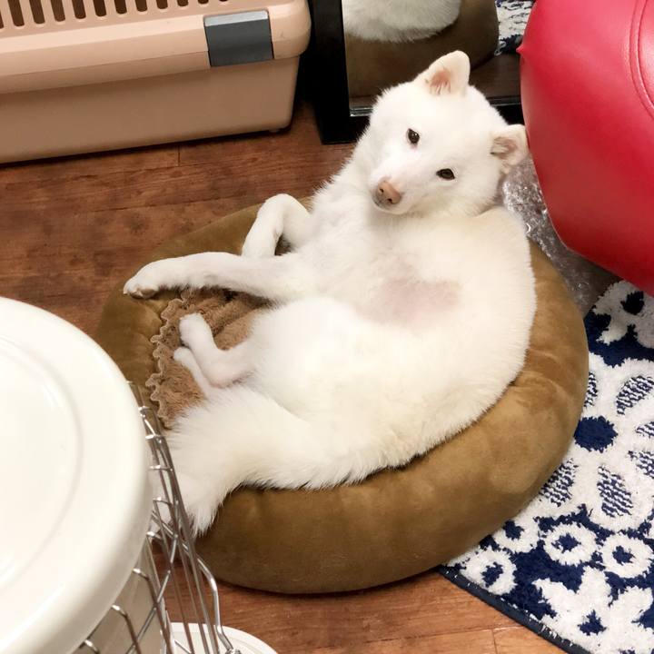 B4ad83c4 93e4 4088 b3d6 af159e545a54 1521031574575