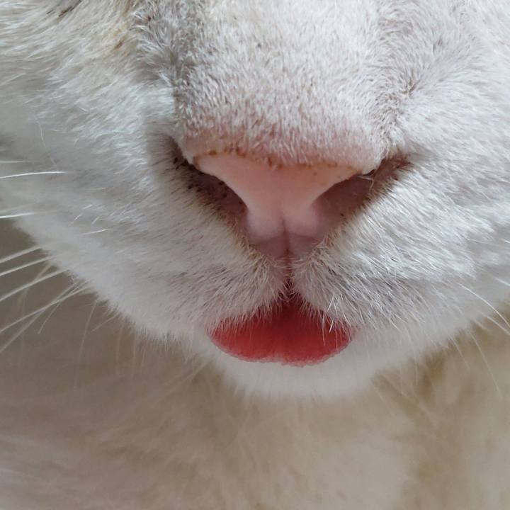 B4adb818 447a 43fb 9e8e 4ea88ce37083 1725882604457