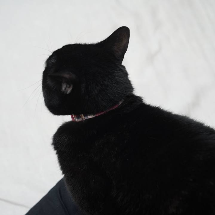 B4ade026 7f04 4b3a b312 f66667e9848e 1576798590939