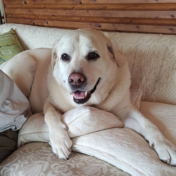 B4ae773c 2825 484a a3b0 8d1169e73083 1754533977516