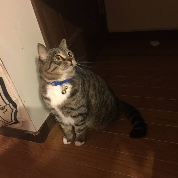 B4ae86ff bce4 4948 b34d 042d9635ed89 1557416192897