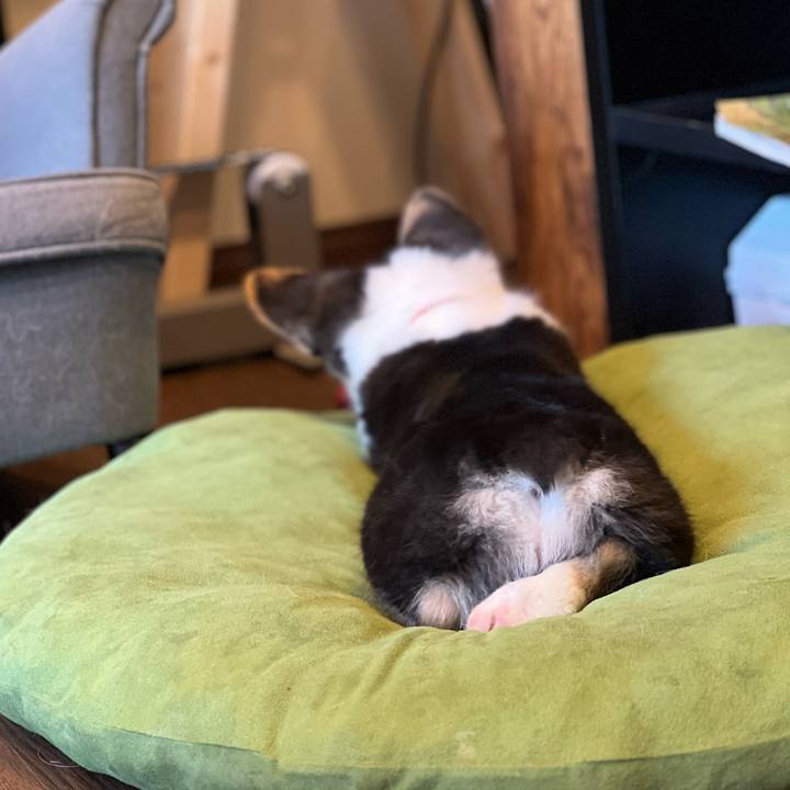 B4ae8cea d0cf 4f24 81cb bce976e56332 1771159347727