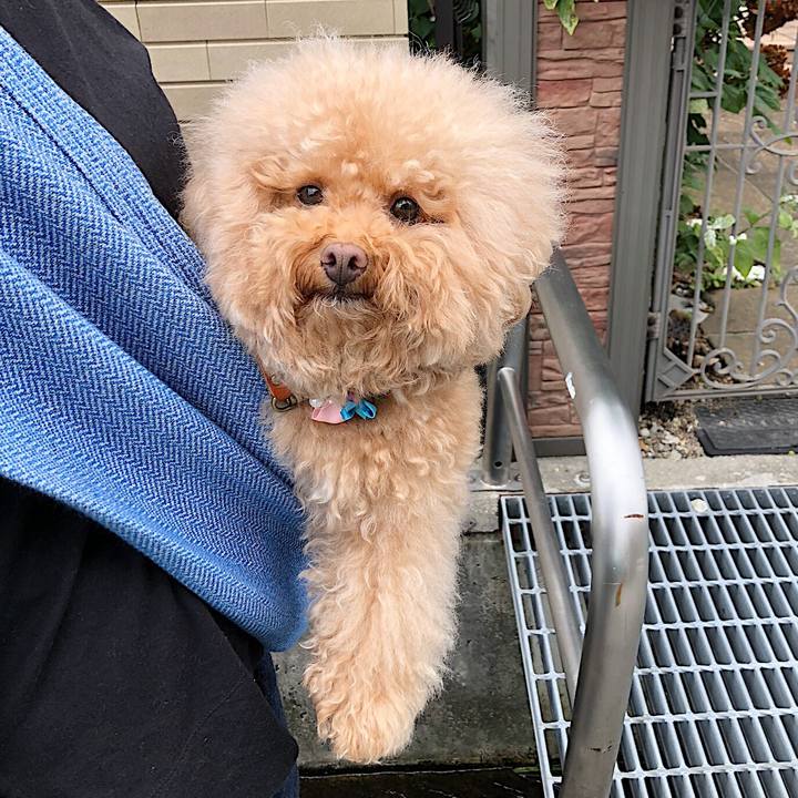 B4aebcbf 7fbc 43a5 81b8 2f0af16367cc 1563883785914