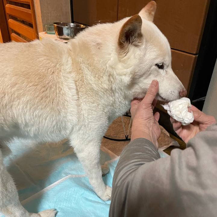 B4af01a8 8abd 4b2b 8740 ea245d9410a9 1637488688550