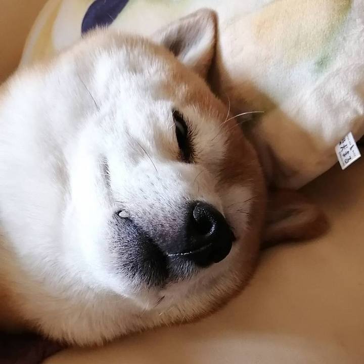 B4af48fd 5495 4fd2 a14a 3f44e2bfe02a 1586945785561