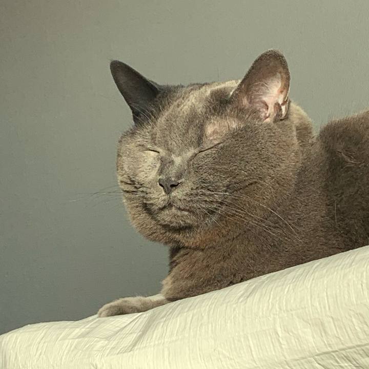 B4af4eaa 0eff 4aa3 8df6 e8731ed7d225 1684012679051