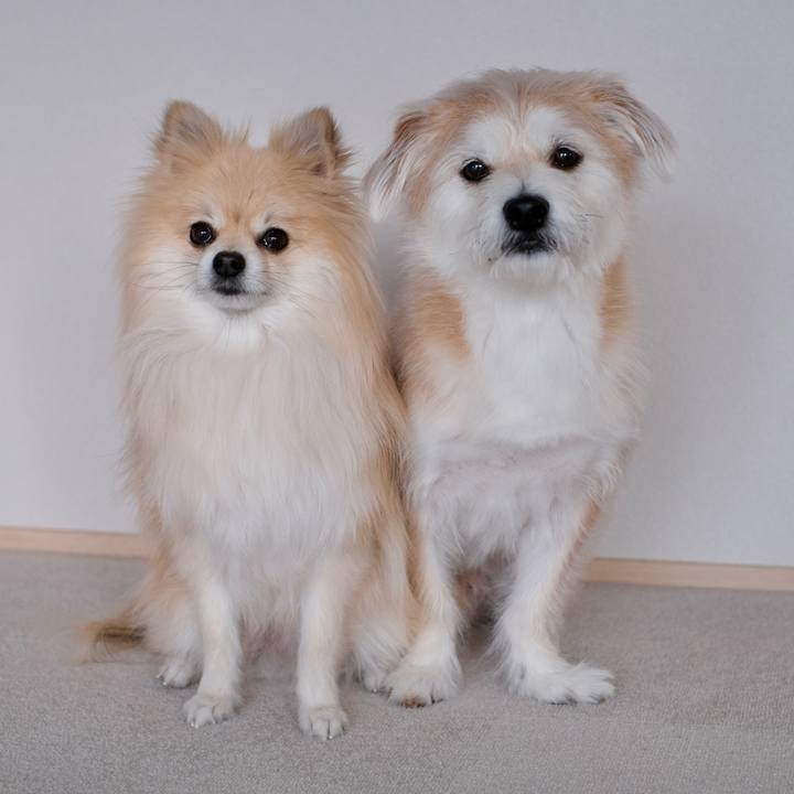 B4af74f4 0ba7 4de0 b576 70c30a5910a3 1769209470490