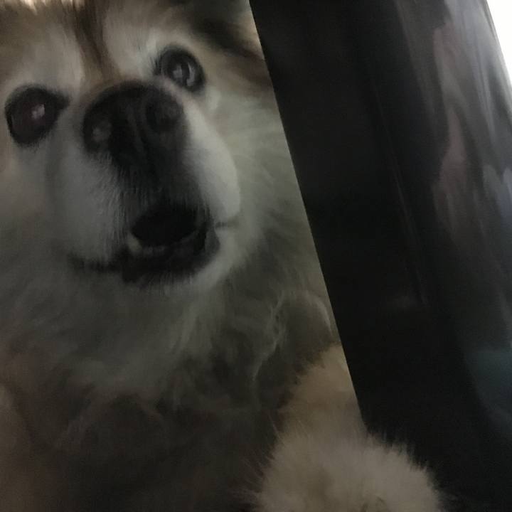 B4af9f9d 8e84 4d10 8e0e 15a7b973d5fa 1614774989120