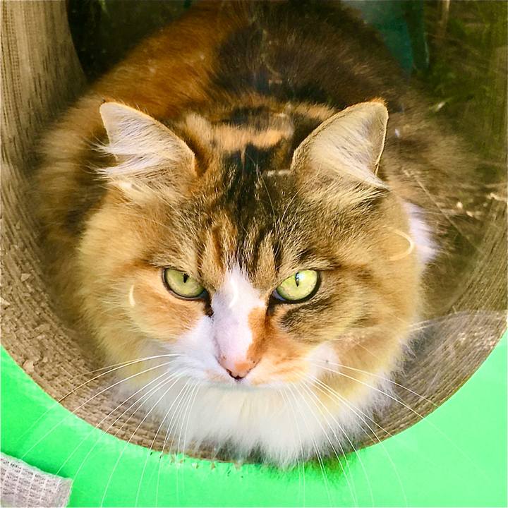 B4afb177 0f40 4bcc ae4e bac49562a57c 1610607745303