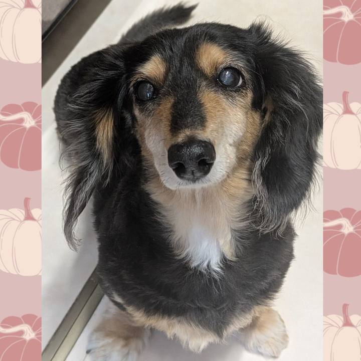 B4afbf74 3075 486c 8d82 49c02a3bf6c4 1758935568945