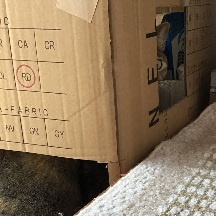 B4afc31a fda2 4f4d a4a4 dd782dfdc284 1599280416031