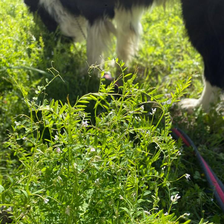 B4afc613 b79b 4990 9777 4c2d89a69b87 1616463947856