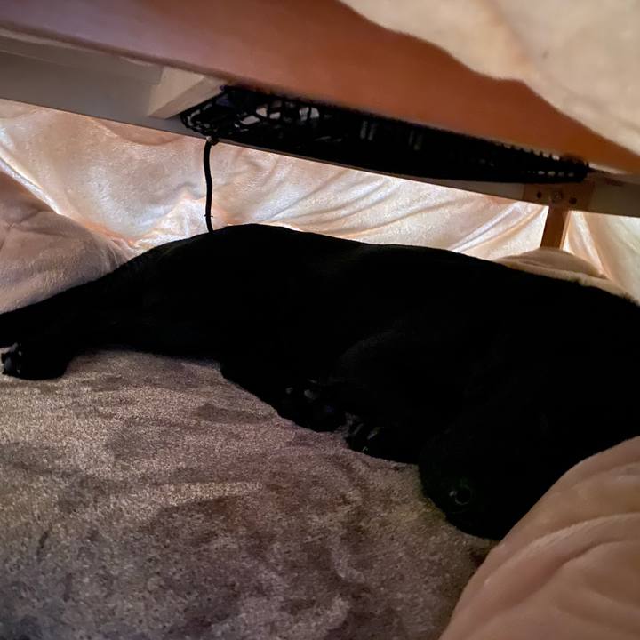 B4afcec6 65bd 40c3 a18c 27023ec51418 1613610386213