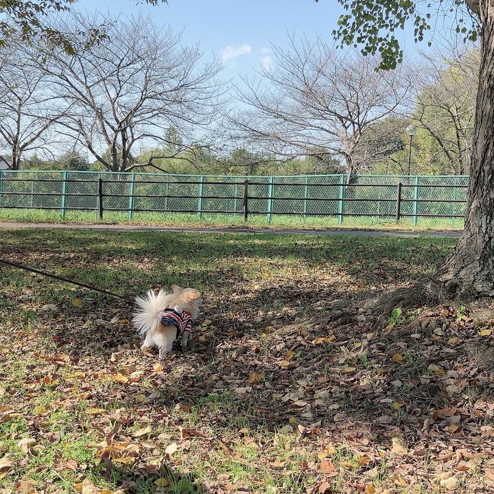 B4afebbb 2078 4f31 865a 88f3fd3677bd 1730616899775