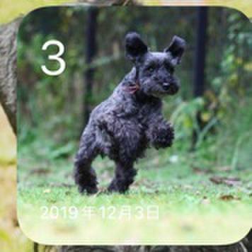 B4b00f1c c4c2 41d2 a34f d07bf6d2bdd4 1638511016668