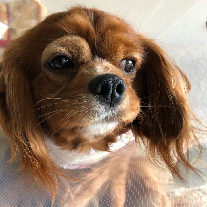 B4b0485a 4c06 49b0 9e52 5f1ed128e712 1582459499618