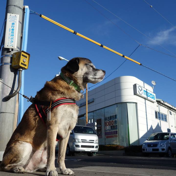 B4b04e8a 5910 4df0 8585 9df47e8ac43e 1621902206066