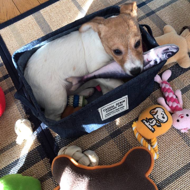 B4b0889d 914a 4ae4 bf23 4d0a4edf1bb3 1546909306214