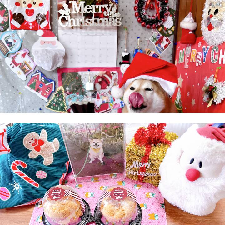 B4b089e0 3f7a 40d5 8433 c809e535073a 1702341430952