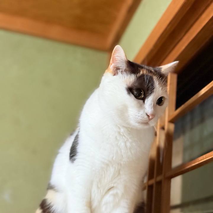 B4b0c66a c328 4621 96d6 0c4ba42030b2 1735258210320