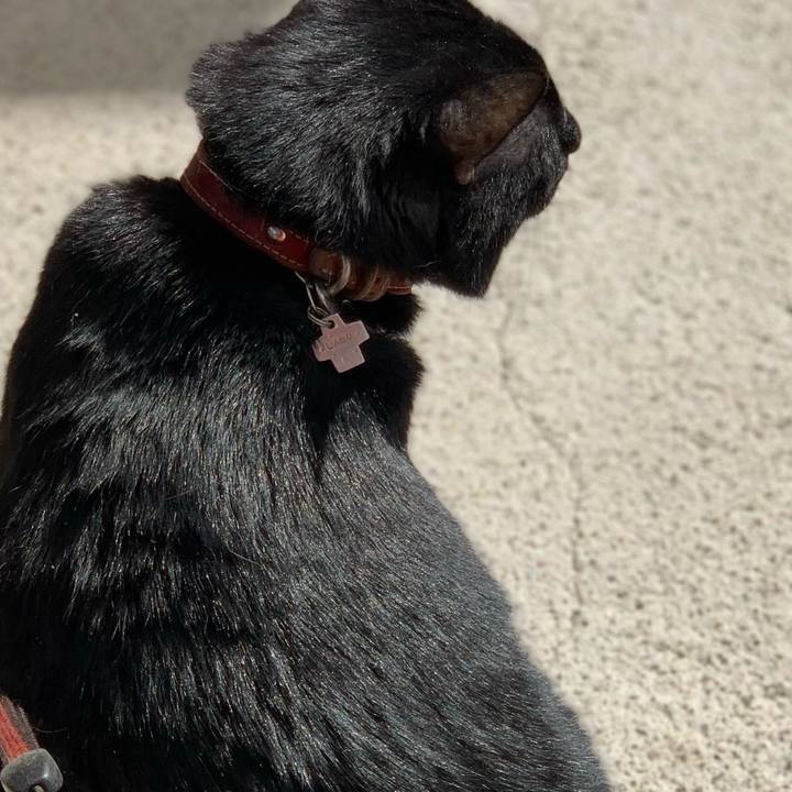 B4b0ce5e 8836 414b b5e4 7ac17b8124d1 1769989312656