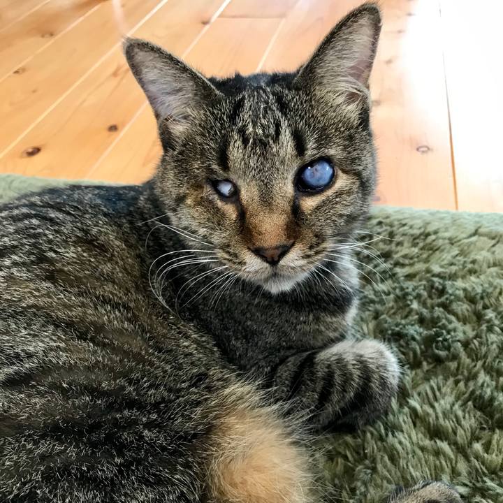 B4b0eba0 ebd8 4583 aca9 d3667d7aa0f7 1566272998319