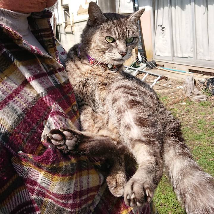 B4b0f0cb fc97 4d44 b5c3 1a455693211a 1584755309002