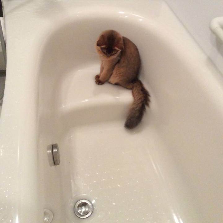 B4b10a5a b8e0 4dac a05e a151460f5bec 1577113689549