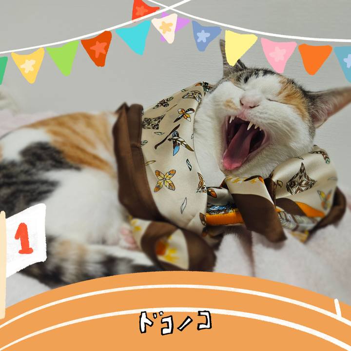 B4b128c3 a6dd 4b04 a632 14487db56938 1761630373899