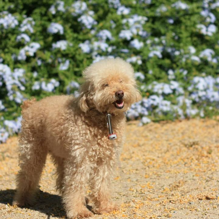 B4b1519a 250a 4680 b0a8 db5bf83149dd 1530695004850