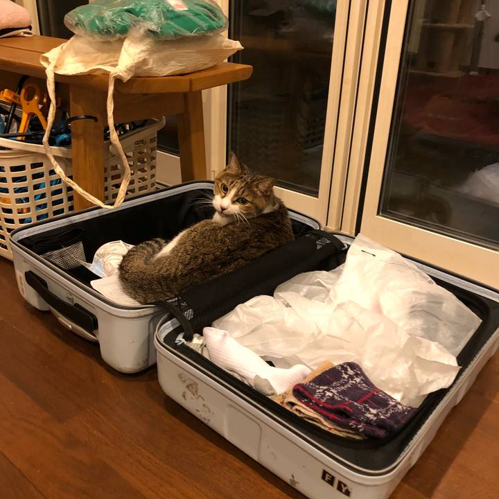 B4b16d6f 58ce 4b6a 8e02 656faf947812 1532680972309