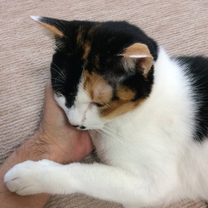 B4b18041 79d7 4689 a330 df5625407b08 1542324333796