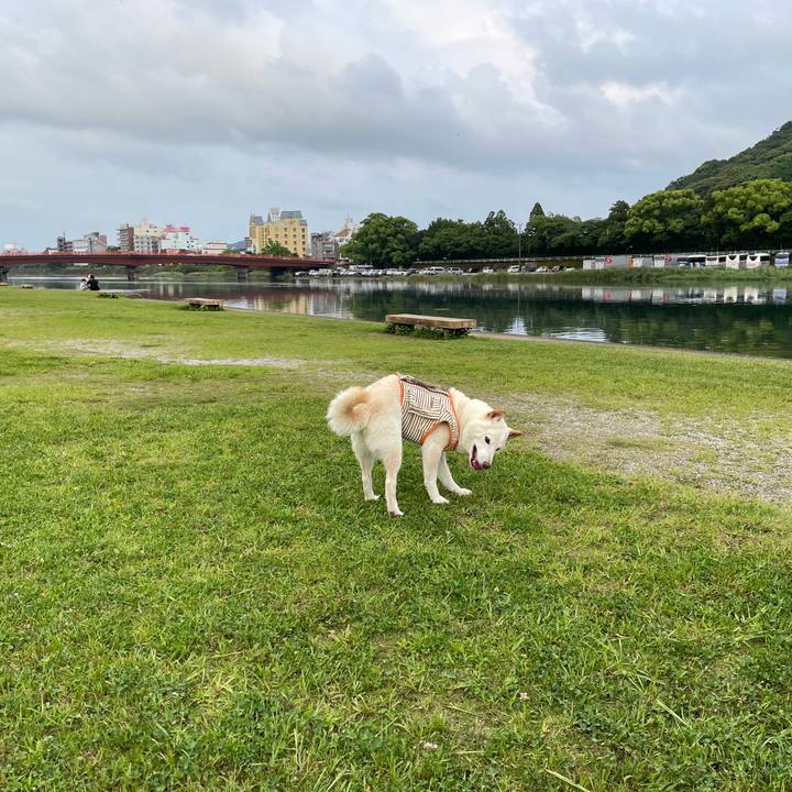 B4b1db1b b001 4b88 b2ed 5a51b777205a 1655371189001