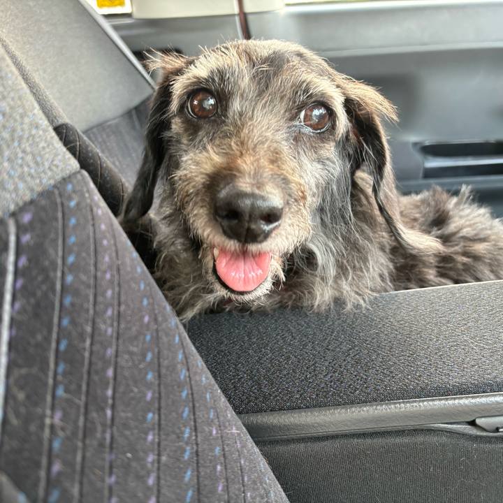 B4b20125 b8a3 4401 b642 597ec8ebf4b5 1758927452646