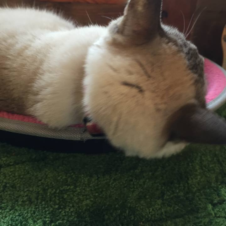 B4b20984 eebf 4fdf 9a4f 794ae56d8b7a 1545795019013