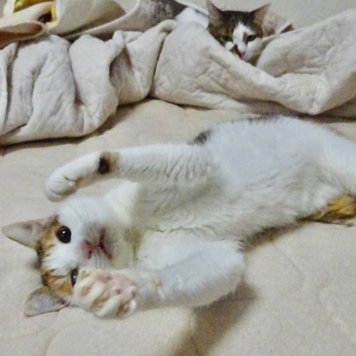 B4b24715 7b6c 40ce 8c4f 213154679ebb 1634974695010