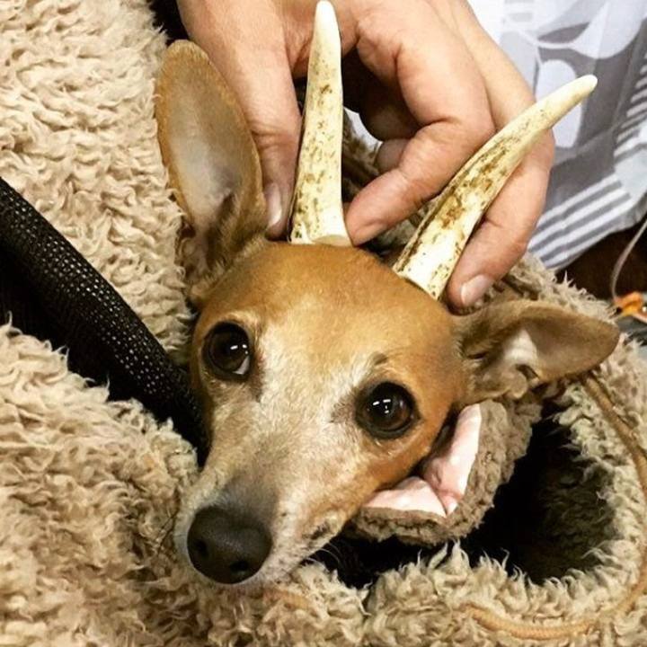 B4b27b79 1bd1 4f42 8d50 b047ccbd2e3b 1512800813445