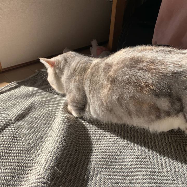 B4b28d40 09f3 4c37 9cf0 e5ff746293bd 1708729324660